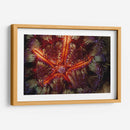 Poder De Star - Indonesia - Beverly Factor | Cuadro decorativo de Canvas Lab
