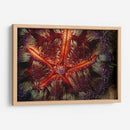Poder De Star - Indonesia - Beverly Factor | Cuadro decorativo de Canvas Lab