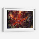 Poder De Star - Indonesia - Beverly Factor | Cuadro decorativo de Canvas Lab
