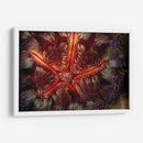 Poder De Star - Indonesia - Beverly Factor | Cuadro decorativo de Canvas Lab