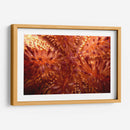 Red Hot - Indonesia - Beverly Factor | Cuadro decorativo de Canvas Lab