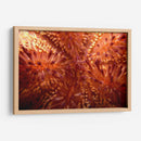 Red Hot - Indonesia - Beverly Factor | Cuadro decorativo de Canvas Lab