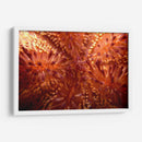 Red Hot - Indonesia - Beverly Factor | Cuadro decorativo de Canvas Lab