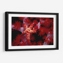 Star Rojo - Nusa Kode, Indonesia - Beverly Factor | Cuadro decorativo de Canvas Lab