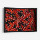 Estrellas - Indonesia - Beverly Factor | Cuadro decorativo de Canvas Lab