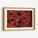 Estrellas - Indonesia - Beverly Factor | Cuadro decorativo de Canvas Lab