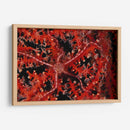 Estrellas - Indonesia - Beverly Factor | Cuadro decorativo de Canvas Lab