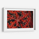 Estrellas - Indonesia - Beverly Factor | Cuadro decorativo de Canvas Lab