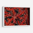 Estrellas - Indonesia - Beverly Factor | Cuadro decorativo de Canvas Lab