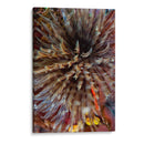 Plumule - N. Sulawesi, Indonesia - Beverly Factor | Cuadro decorativo de Canvas Lab