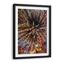 Plumule - N. Sulawesi, Indonesia - Beverly Factor | Cuadro decorativo de Canvas Lab