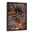 Plumule - N. Sulawesi, Indonesia - Beverly Factor | Cuadro decorativo de Canvas Lab