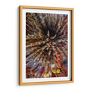 Plumule - N. Sulawesi, Indonesia - Beverly Factor | Cuadro decorativo de Canvas Lab