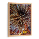 Plumule - N. Sulawesi, Indonesia - Beverly Factor | Cuadro decorativo de Canvas Lab