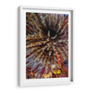 Plumule - N. Sulawesi, Indonesia - Beverly Factor | Cuadro decorativo de Canvas Lab