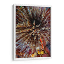 Plumule - N. Sulawesi, Indonesia - Beverly Factor | Cuadro decorativo de Canvas Lab