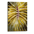 Tentadora - Tailandia - Beverly Factor | Cuadro decorativo de Canvas Lab