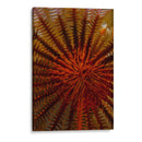 Destiny - S. Raja Ampat, Indonesia - Beverly Factor | Cuadro decorativo de Canvas Lab