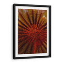 Destiny - S. Raja Ampat, Indonesia - Beverly Factor | Cuadro decorativo de Canvas Lab