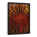 Destiny - S. Raja Ampat, Indonesia - Beverly Factor | Cuadro decorativo de Canvas Lab