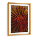 Destiny - S. Raja Ampat, Indonesia - Beverly Factor | Cuadro decorativo de Canvas Lab