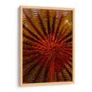 Destiny - S. Raja Ampat, Indonesia - Beverly Factor | Cuadro decorativo de Canvas Lab