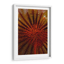 Destiny - S. Raja Ampat, Indonesia - Beverly Factor | Cuadro decorativo de Canvas Lab