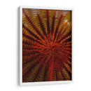 Destiny - S. Raja Ampat, Indonesia - Beverly Factor | Cuadro decorativo de Canvas Lab