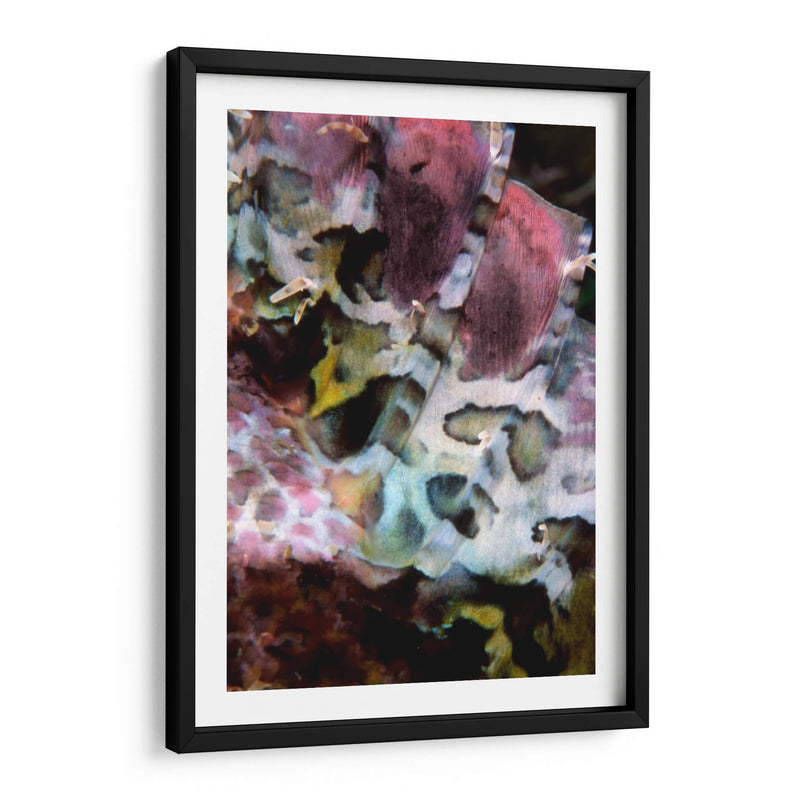 Marvel Rosa - Indonesia - Beverly Factor | Cuadro decorativo de Canvas Lab