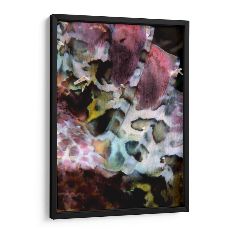 Marvel Rosa - Indonesia - Beverly Factor | Cuadro decorativo de Canvas Lab