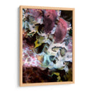 Marvel Rosa - Indonesia - Beverly Factor | Cuadro decorativo de Canvas Lab