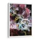 Marvel Rosa - Indonesia - Beverly Factor | Cuadro decorativo de Canvas Lab