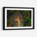 Encantador - Indonesia - Beverly Factor | Cuadro decorativo de Canvas Lab