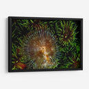 Encantador - Indonesia - Beverly Factor | Cuadro decorativo de Canvas Lab