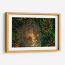 Encantador - Indonesia - Beverly Factor | Cuadro decorativo de Canvas Lab