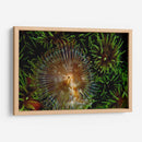 Encantador - Indonesia - Beverly Factor | Cuadro decorativo de Canvas Lab