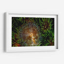 Encantador - Indonesia - Beverly Factor | Cuadro decorativo de Canvas Lab
