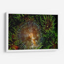 Encantador - Indonesia - Beverly Factor | Cuadro decorativo de Canvas Lab