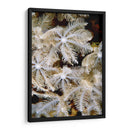 Flor De Plumas I - Papua Nueva Guinea - Beverly Factor | Cuadro decorativo de Canvas Lab