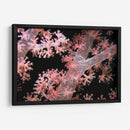 Delicadamente Rosa - Pasaje De Vatu, Fiji - Beverly Factor | Cuadro decorativo de Canvas Lab