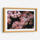 Delicadamente Rosa - Pasaje De Vatu, Fiji - Beverly Factor | Cuadro decorativo de Canvas Lab