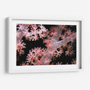 Delicadamente Rosa - Pasaje De Vatu, Fiji - Beverly Factor | Cuadro decorativo de Canvas Lab