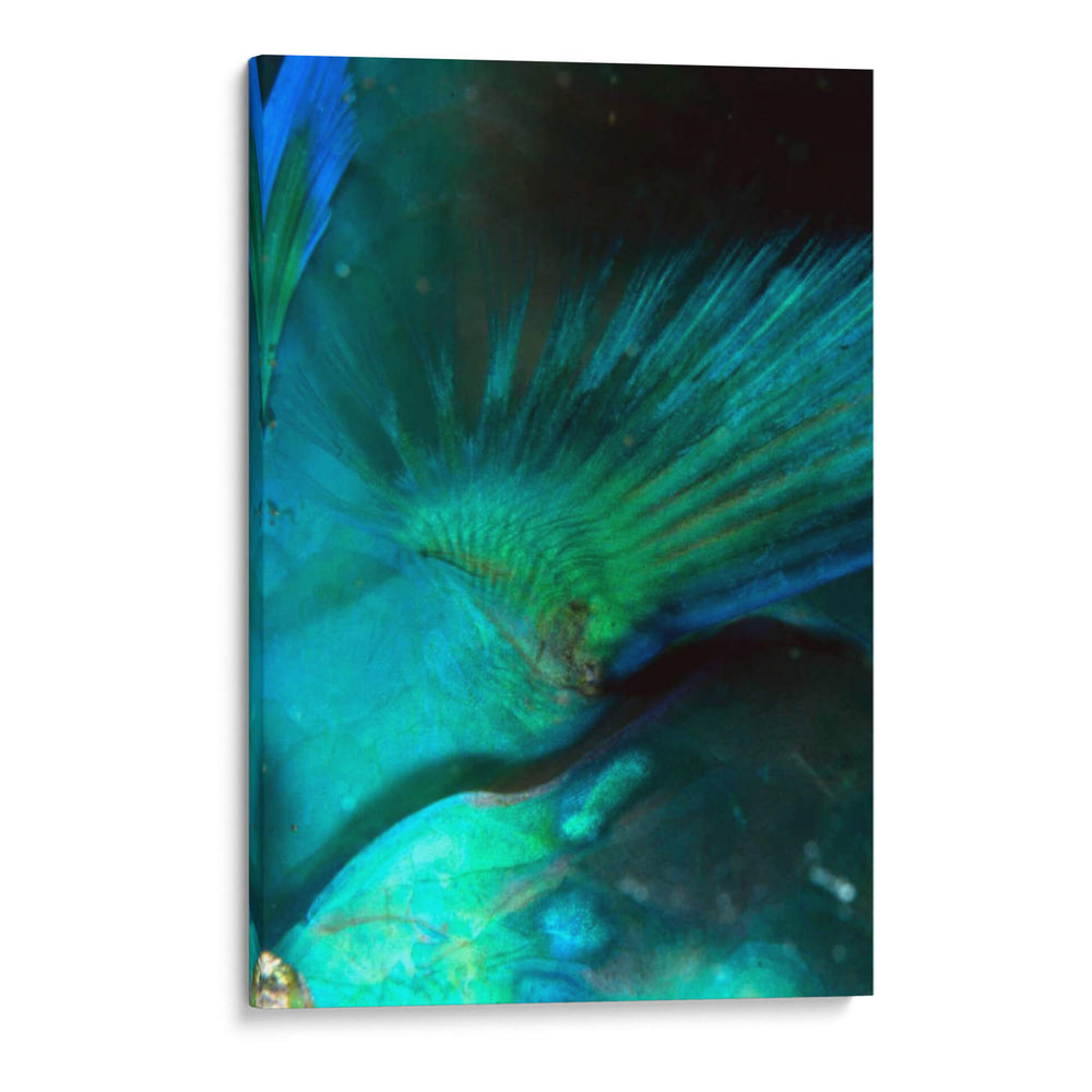 Finality - Australia - Beverly Factor | Cuadro decorativo de Canvas Lab