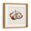 Una naranja mecánica | Cuadro decorativo de Canvas Lab