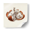 Una naranja mecánica | Cuadro decorativo de Canvas Lab