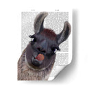Llama Tonta - Fab Funky | Cuadro decorativo de Canvas Lab