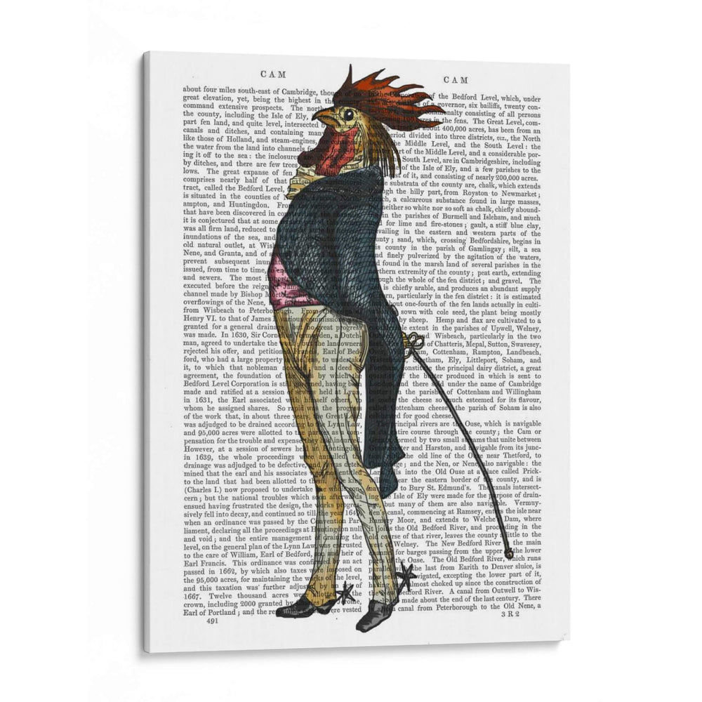 Cockerel Con Espuelas - Fab Funky | Cuadro decorativo de Canvas Lab