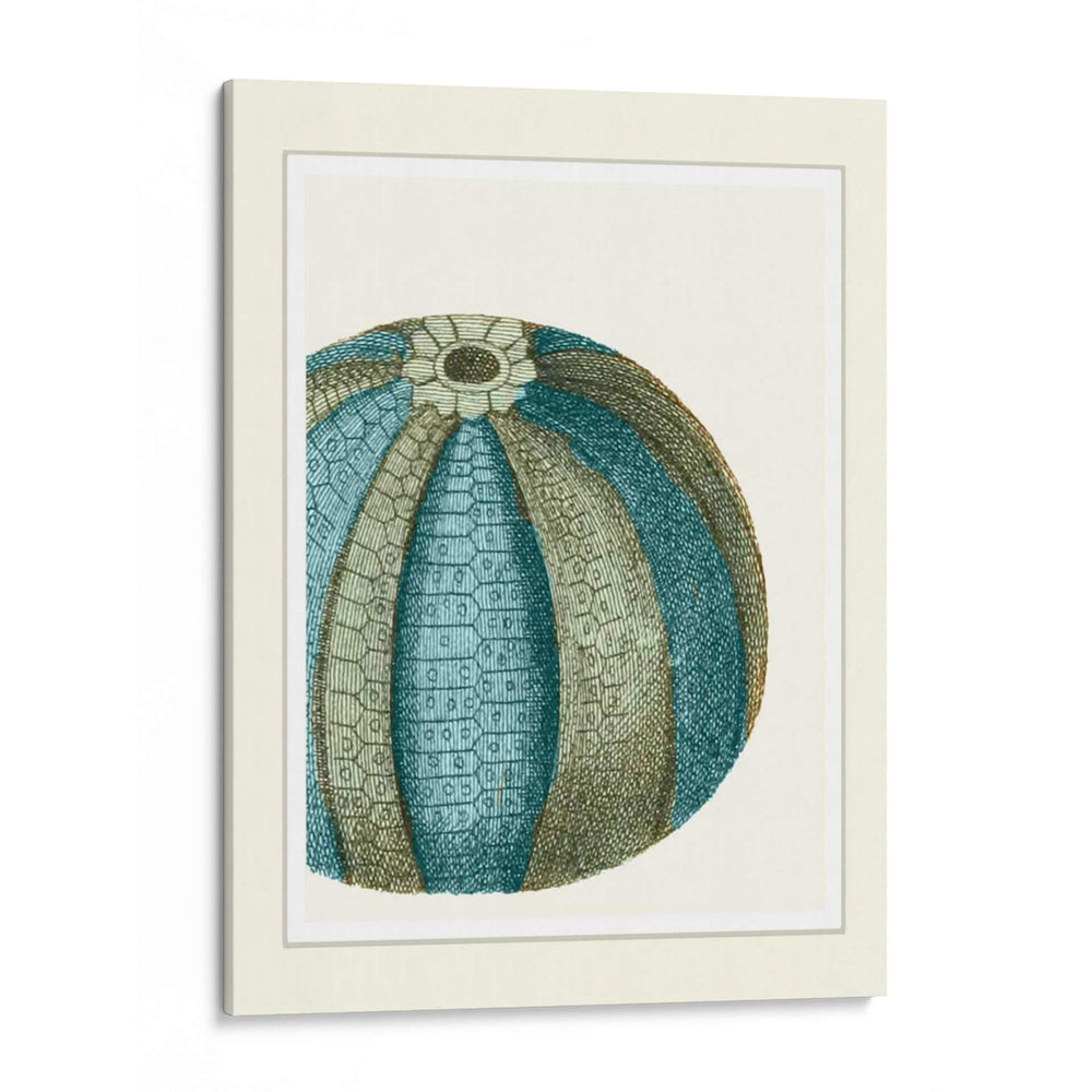 Escenas Azules Submarinas 2 A - Fab Funky | Cuadro decorativo de Canvas Lab