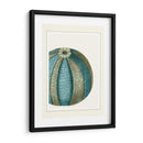 Escenas Azules Submarinas 2 A - Fab Funky | Cuadro decorativo de Canvas Lab