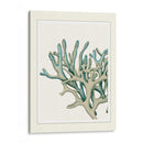 Escenas Azules Submarinas 2 B - Fab Funky | Cuadro decorativo de Canvas Lab